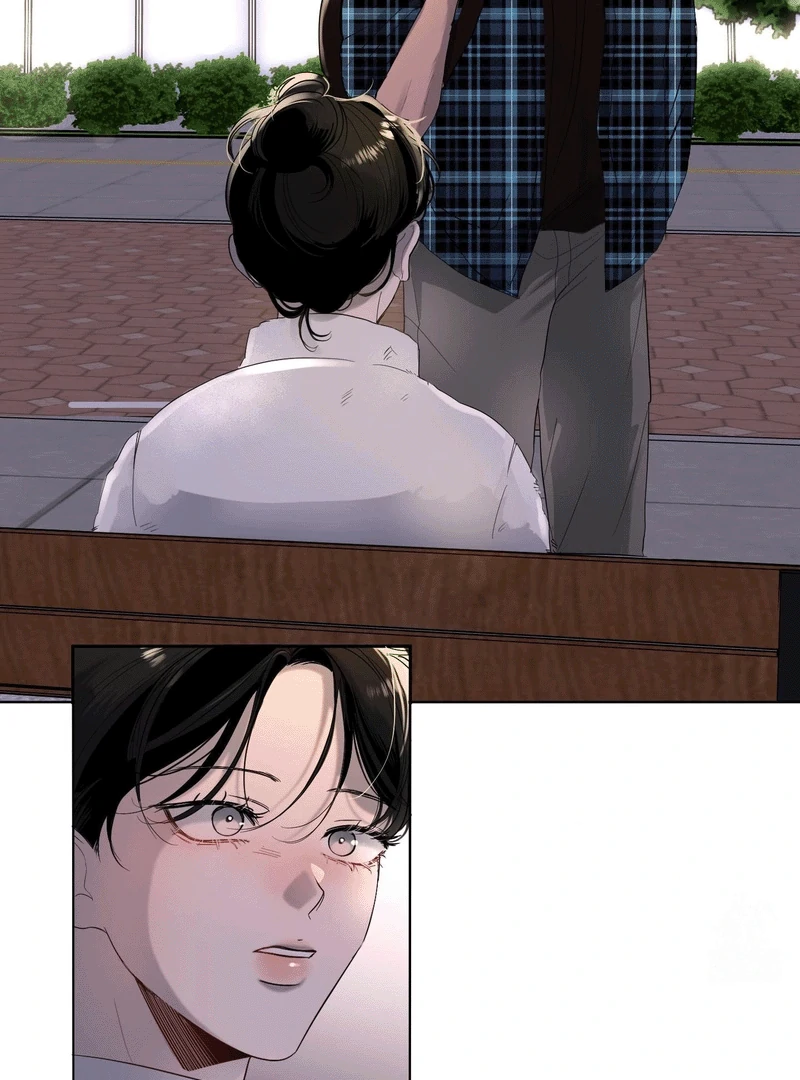 88495421 800 1080 124254