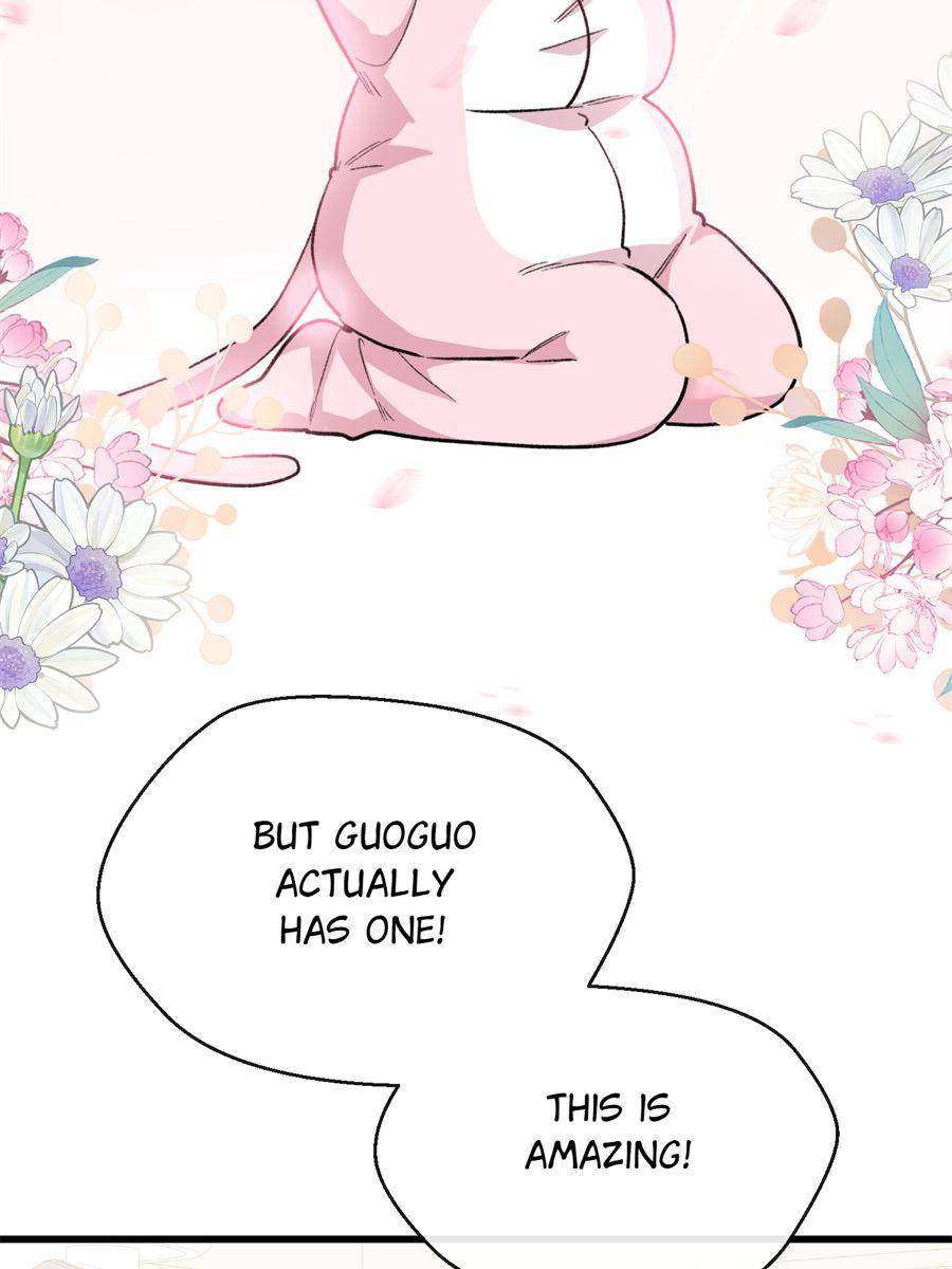 85741074 900 1200 78517